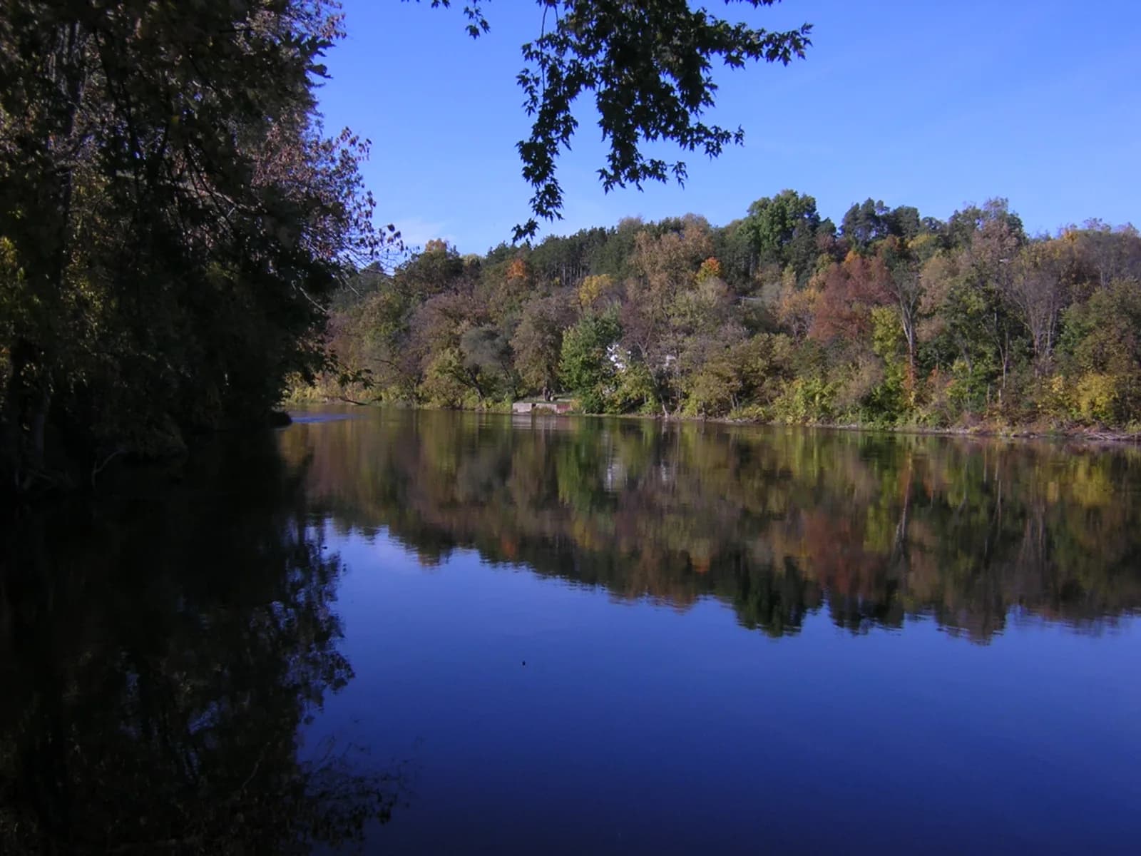 Still dark water mirrors a ridge of trees turning yellow and rust; overhanging branches enter the top of the frame against a clear blue sky.