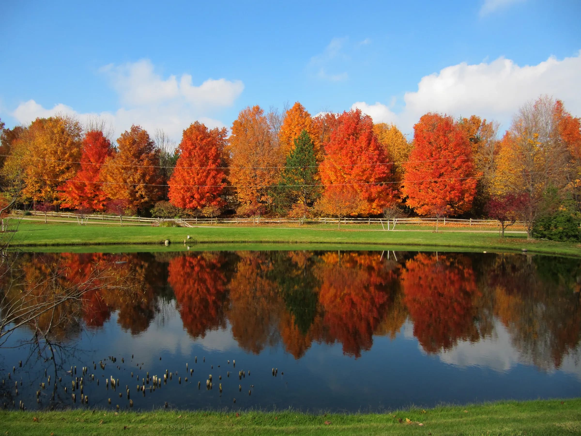 A row of orange and red trees behind a wooden rail fence is mirrored almost exactly in still water, with mown grass in the foreground and one white cloud in a blue sky.