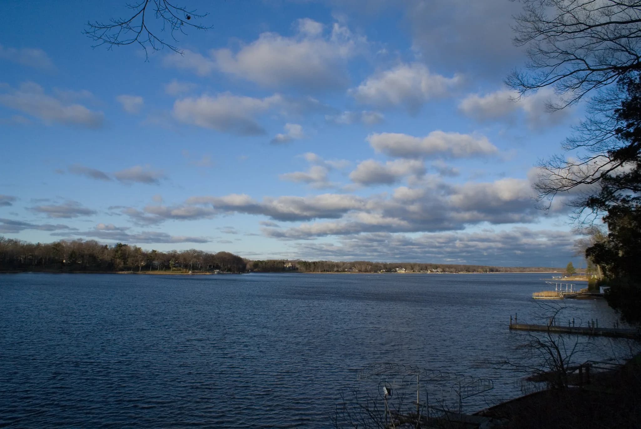 A wide low view across calm water to a flat wooded shoreline, under a broad sky of scattered cumulus catching late light.