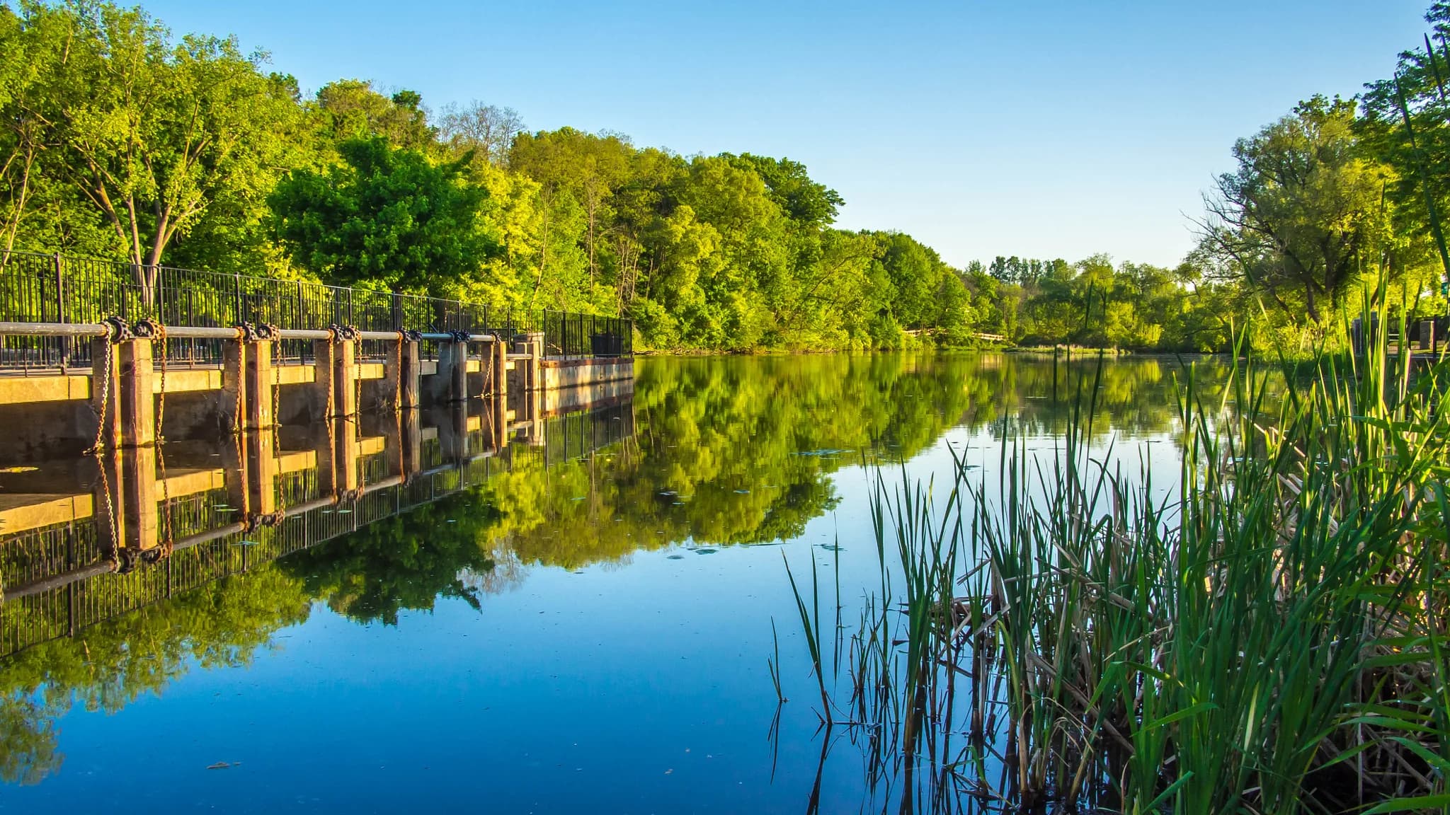 A concrete weir with a metal railing runs from the left edge into calm water reflecting the sky and the trees on the far shore, with reeds filling the right foreground.