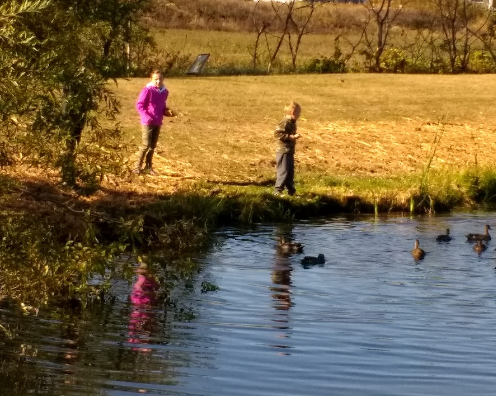 Two people fishing from a grassy bank in low golden light, one standing at the water's edge and one further along, with ducks on the pond and bare autumn trees behind.