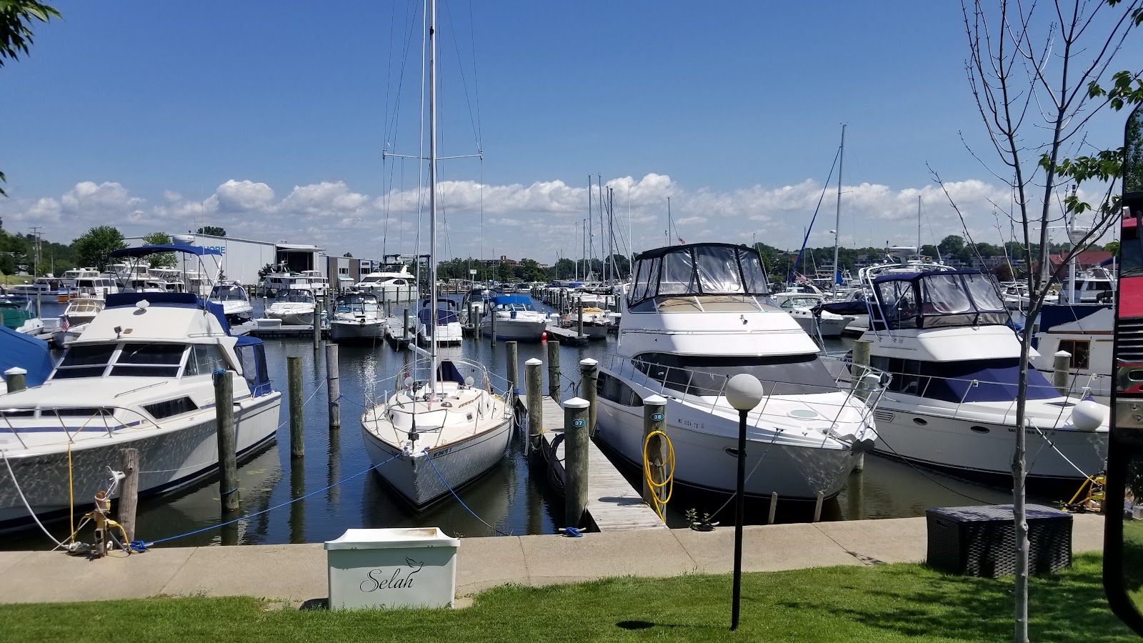 Rows of white cruisers and a sailboat moored at floating docks under a bright blue sky with broken cloud, mown grass and a young tree in the foreground.