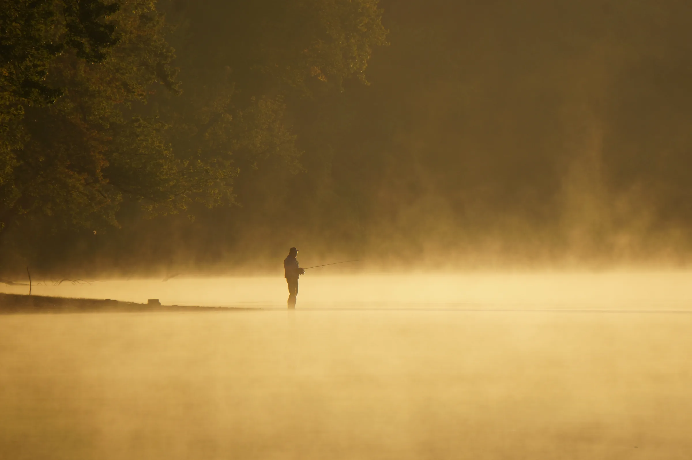 A silhouetted figure holding a fishing rod stands in shallow water; thick mist lit gold by low sun fills most of the frame, with a dark treeline just visible behind.